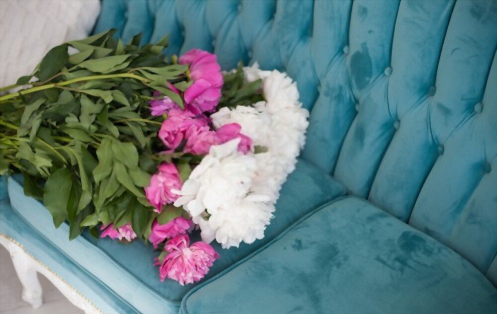 BLUE VELVET COUCH