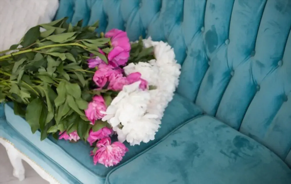 BLUE VELVET COUCH