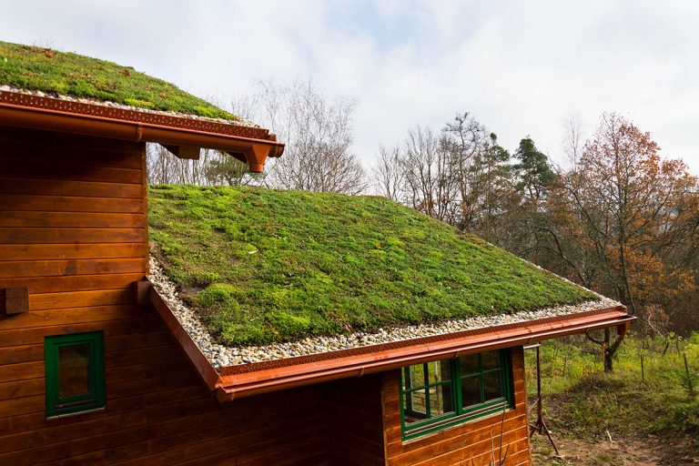 What is a living roof?