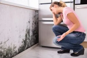 Prevent Mold 