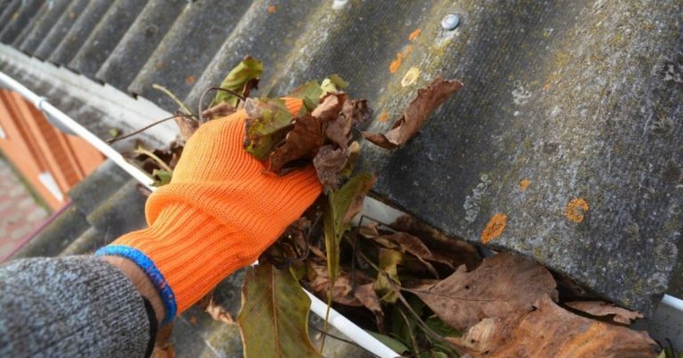 Gutter Maintenance Tips