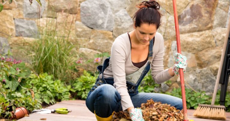 Spring and Fall Yard Cleanups