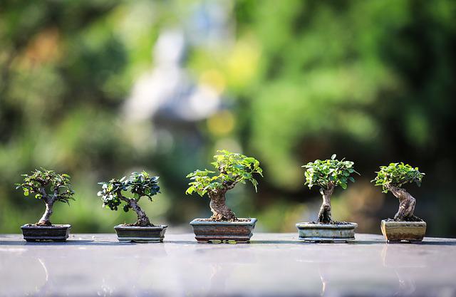 Right Tree