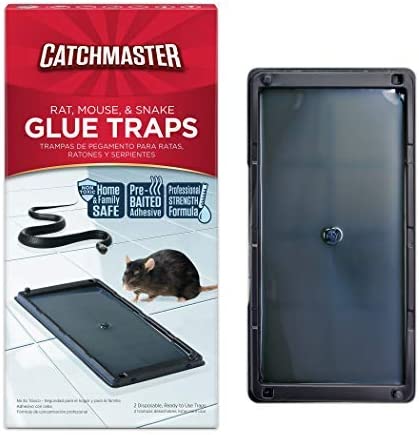 Baited Glue Traps by Catchmaster