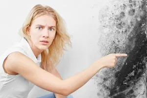 pressure washing Durham NC