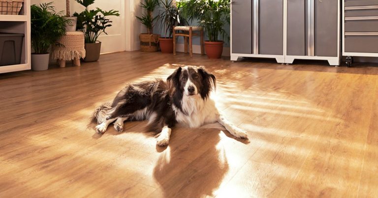 Laminate vs Vinyl Flooring