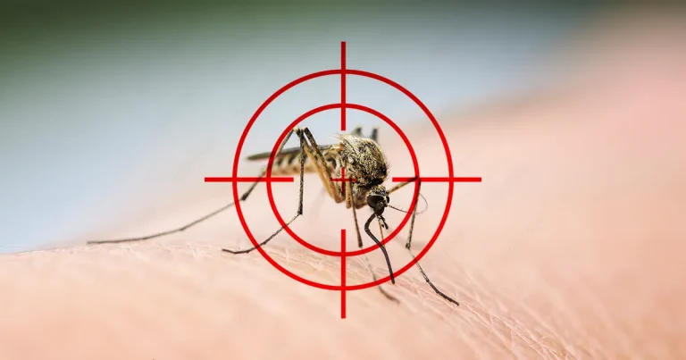 control the presence of mosquitoes inside your home 