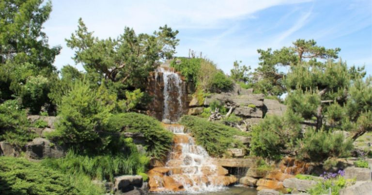 Garden Design