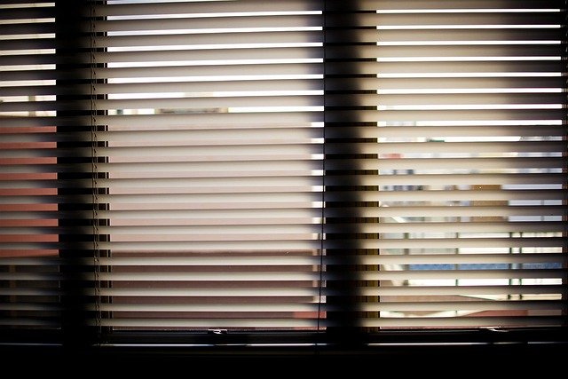 window Blinds