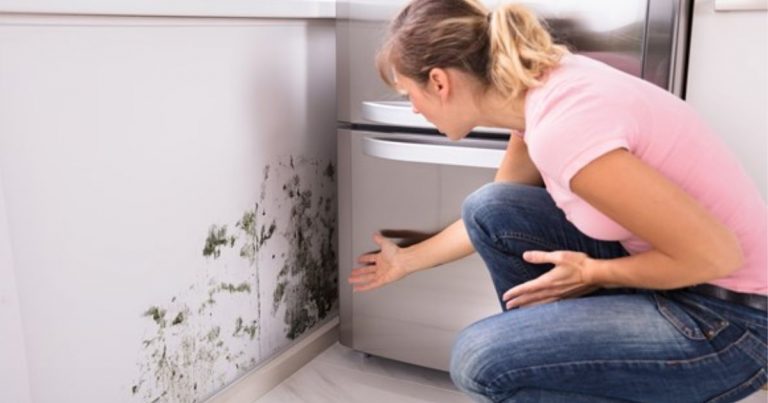 Mold Testing